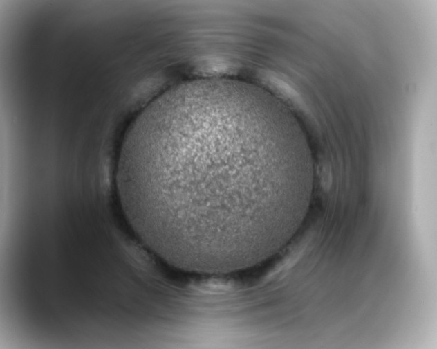 X0000088400546200706051137