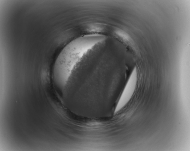 X0000088400547200706051137