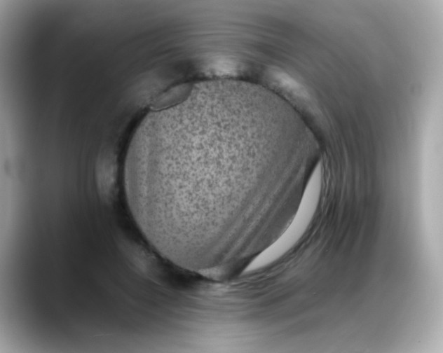 X0000088400548200706051137