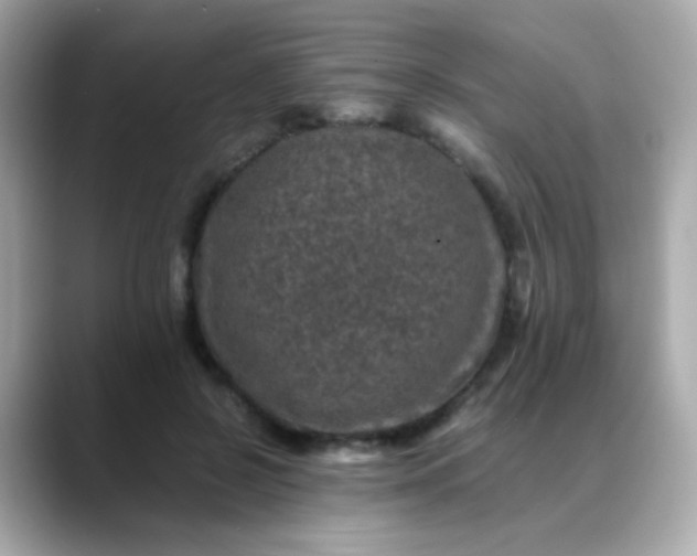 X0000088400550200706051137