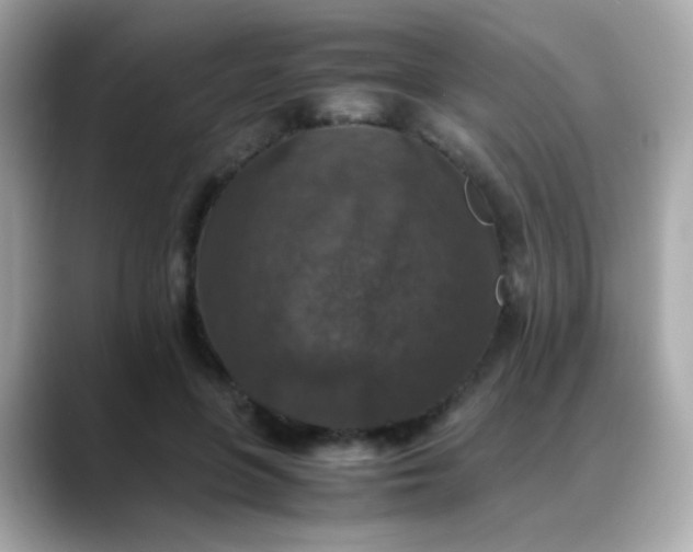 X0000088400551200706051138