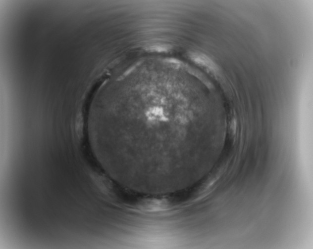 X0000088400552200706051138