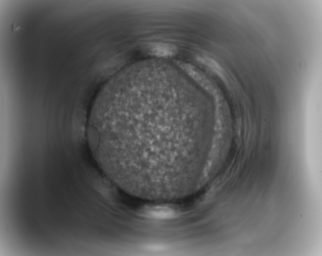 X0000088400553200706051138