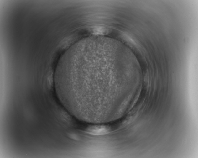 X0000088400554200706051138