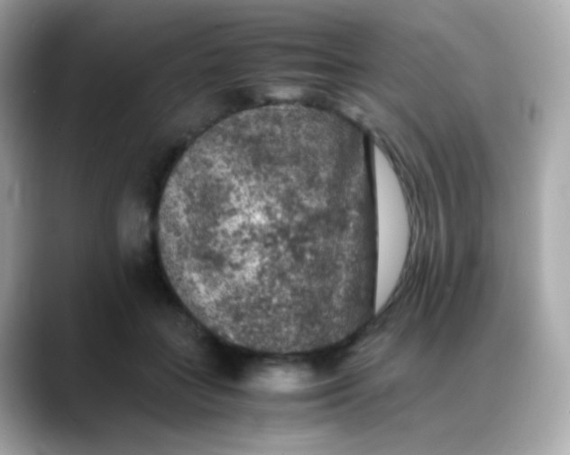 X0000088400555200706051138