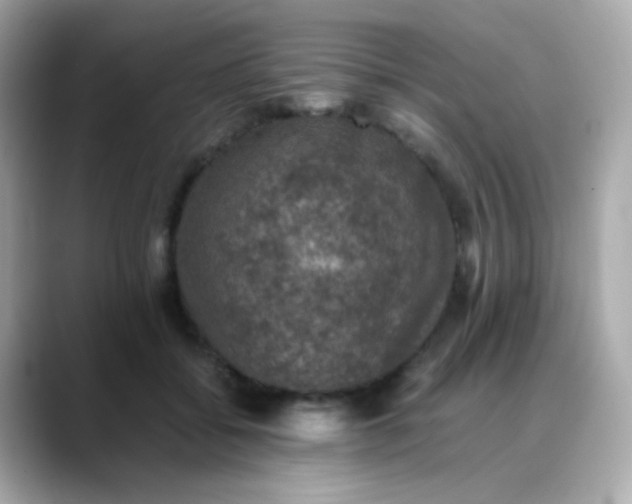 X0000088400556200706051138