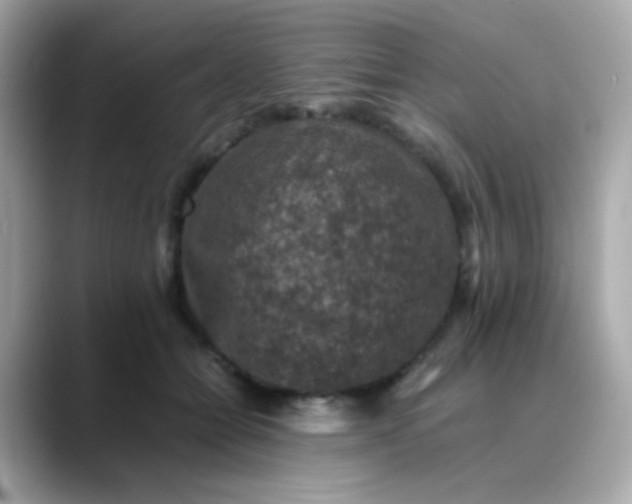 X0000088400558200706051138