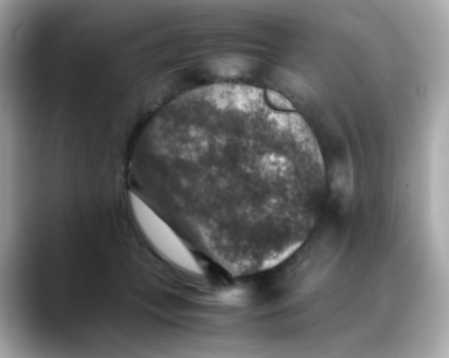 X0000088400559200706051138