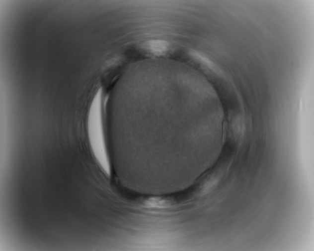 X0000088400562200706051138