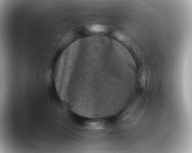 X0000088400563200706051138