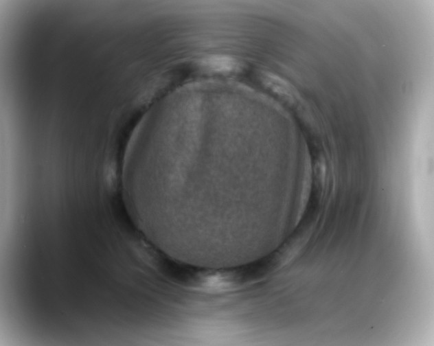 X0000088400564200706051138