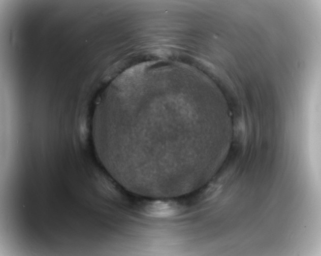 X0000088400566200706051138