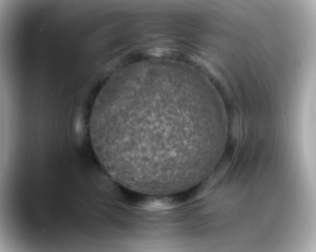 X0000088400569200706051138