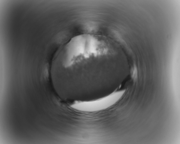 X0000088400570200706051138