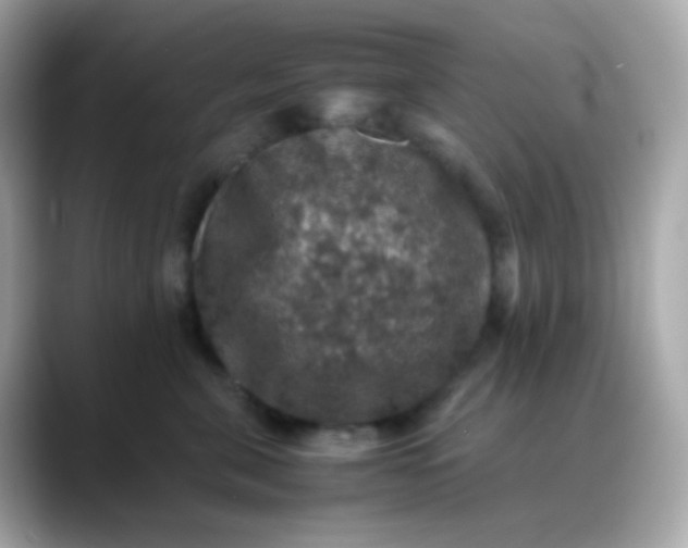 X0000088400571200706051138