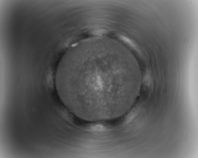 X0000088400572200706051138