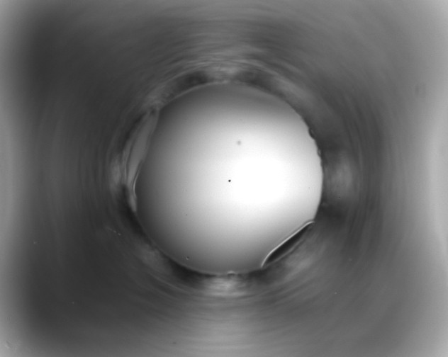 X0000088400574200706051138