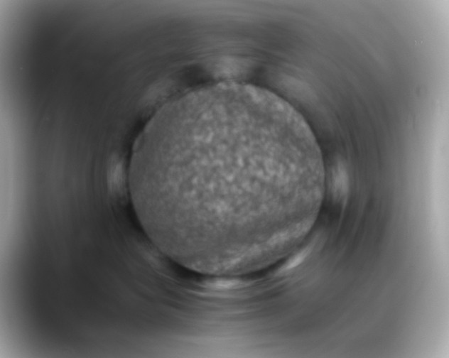 X0000088400575200706051138