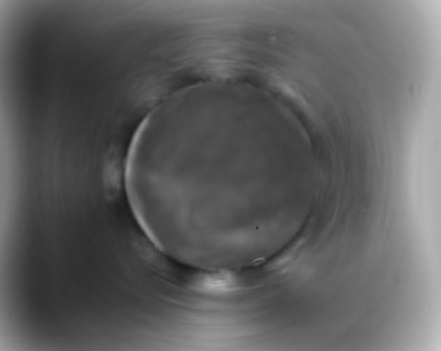 X0000088400576200706051138