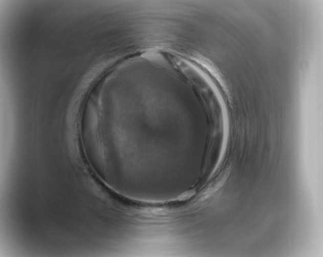 X0000088400577200706051137