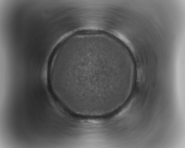 X0000088400580200706051137