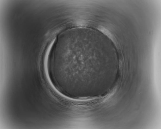 X0000088400581200706051137