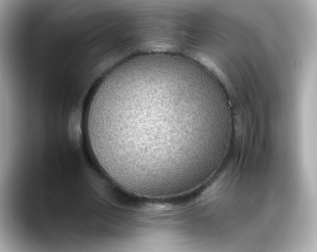 X0000088400582200706051137