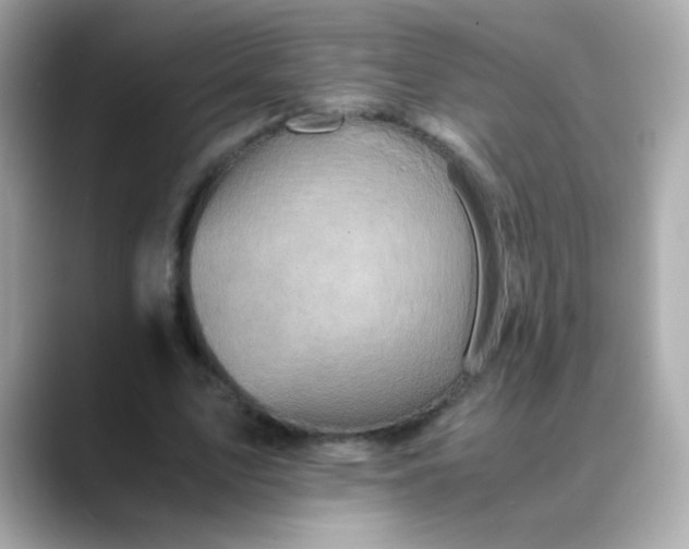 X0000088400583200706051137