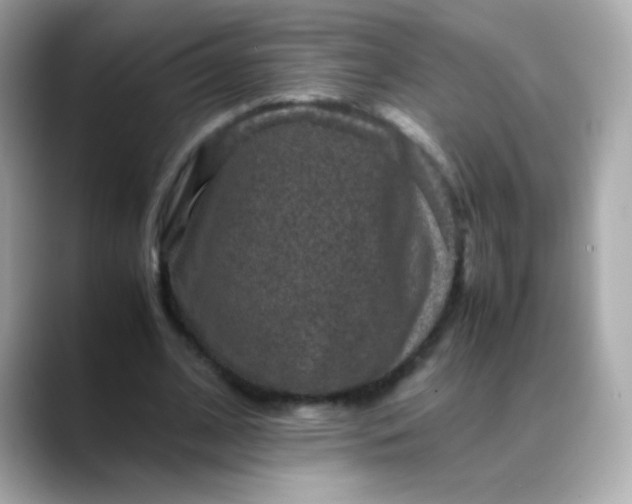 X0000088400584200706051137