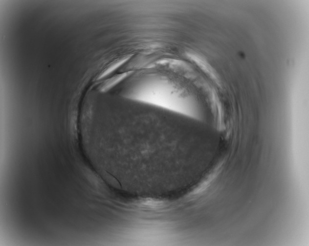 X0000088400585200706051137