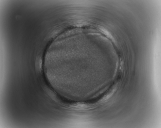 X0000088400589200706051137