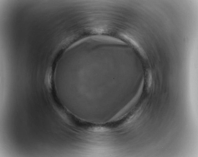 X0000088400590200706051137