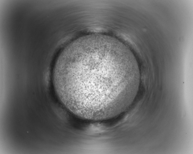 X0000088400591200706051137