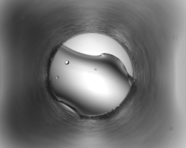 X0000088400593200706051137