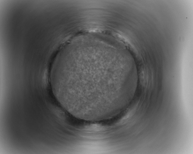 X0000088400594200706051137