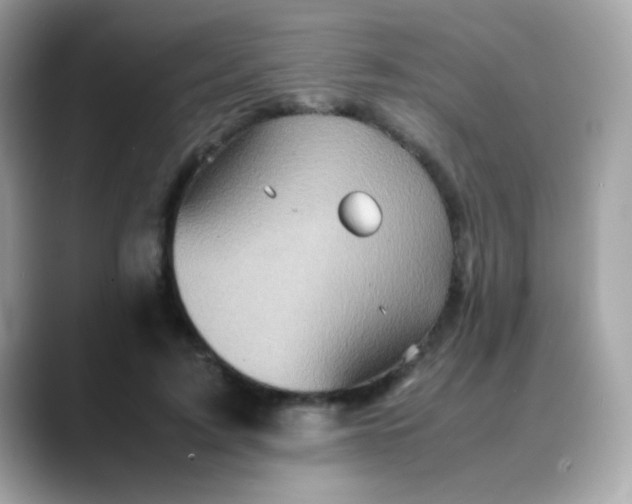 X0000088400595200706051137