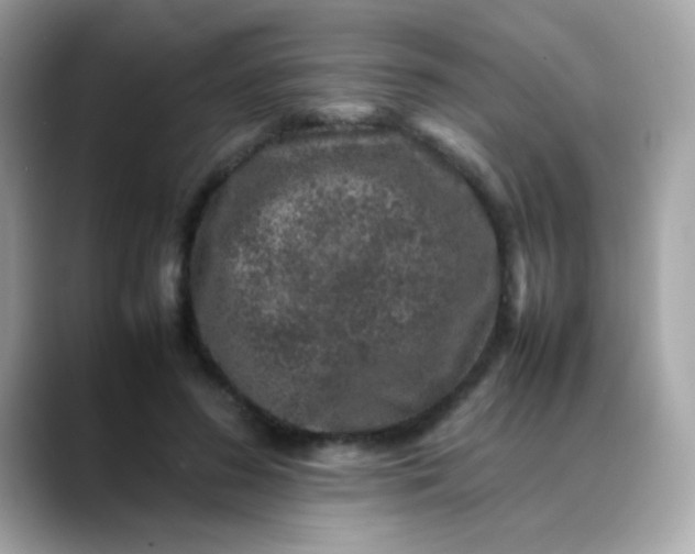 X0000088400596200706051137