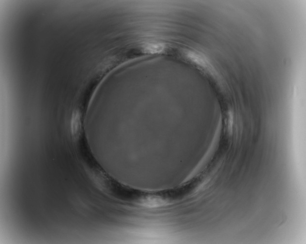 X0000088400598200706051137