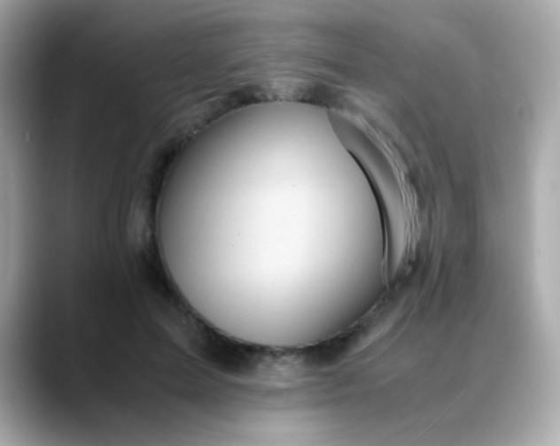 X0000088400599200706051137