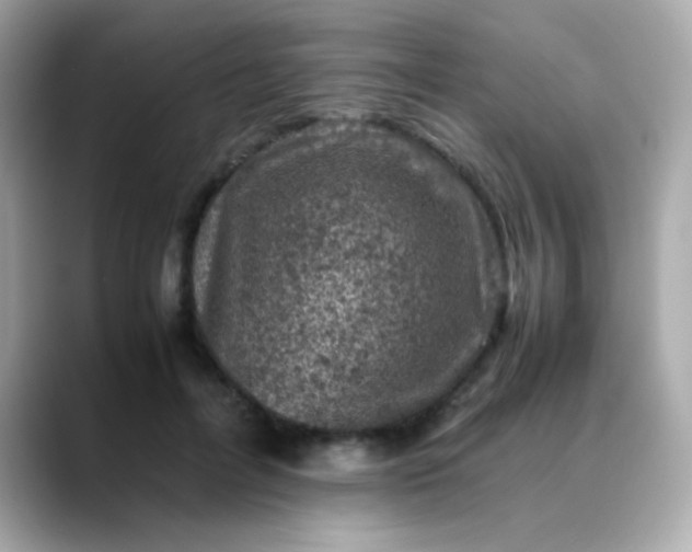 X0000088400600200706051137