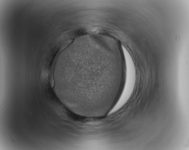 X0000088400601200706051137