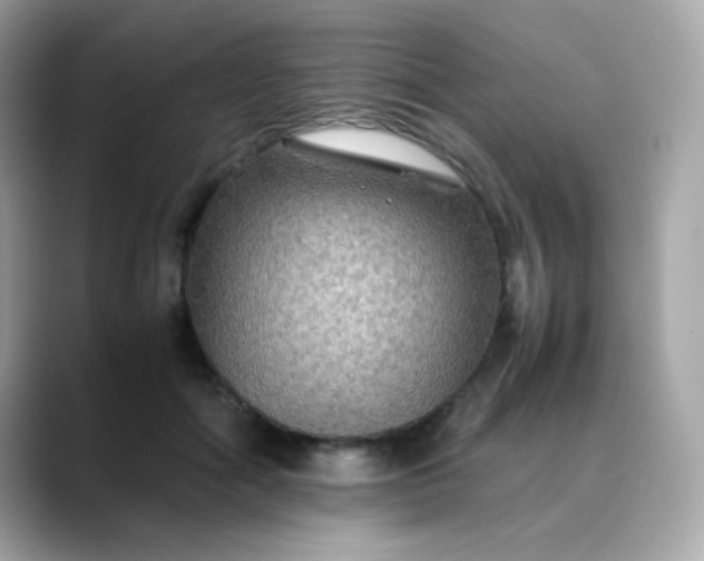 X0000088400602200706051137