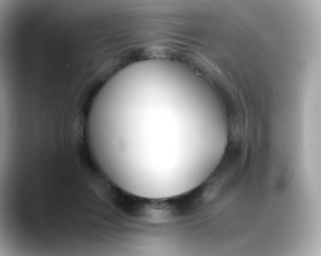 X0000088400603200706051137