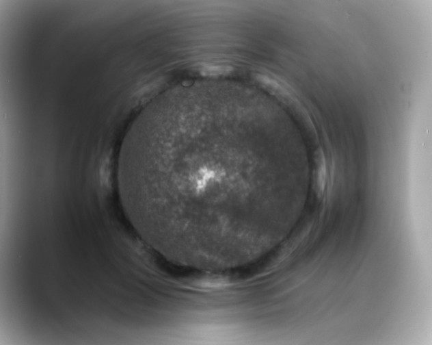 X0000088400604200706051137