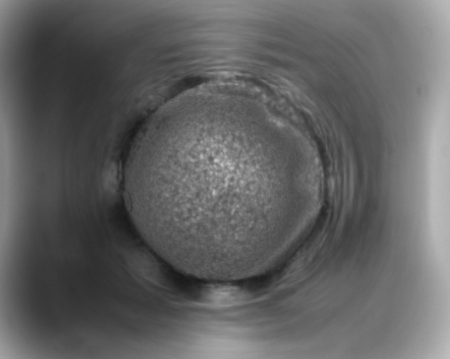 X0000088400605200706051137