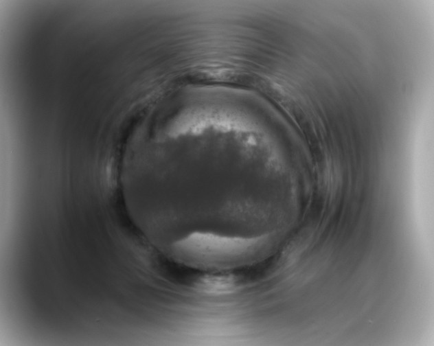 X0000088400606200706051137