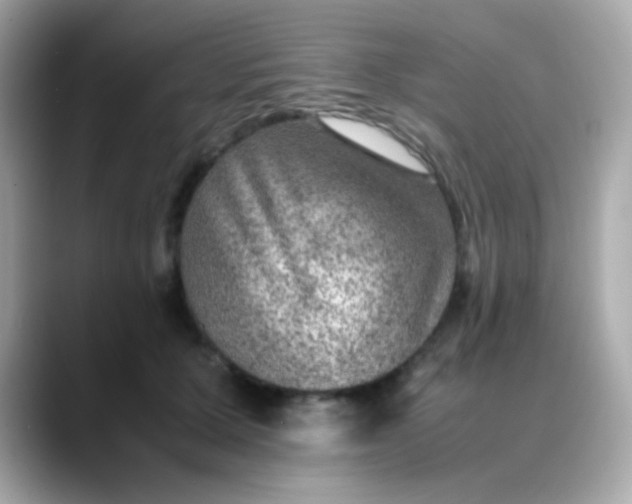 X0000088400607200706051137