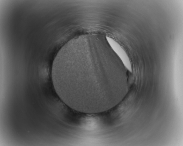 X0000088400608200706051137