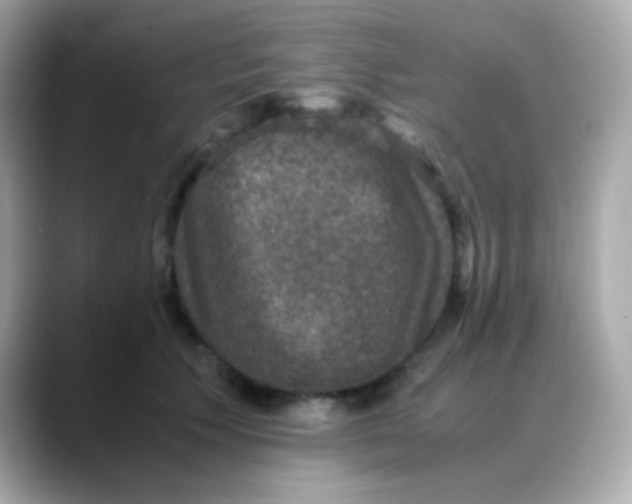 X0000088400609200706051137