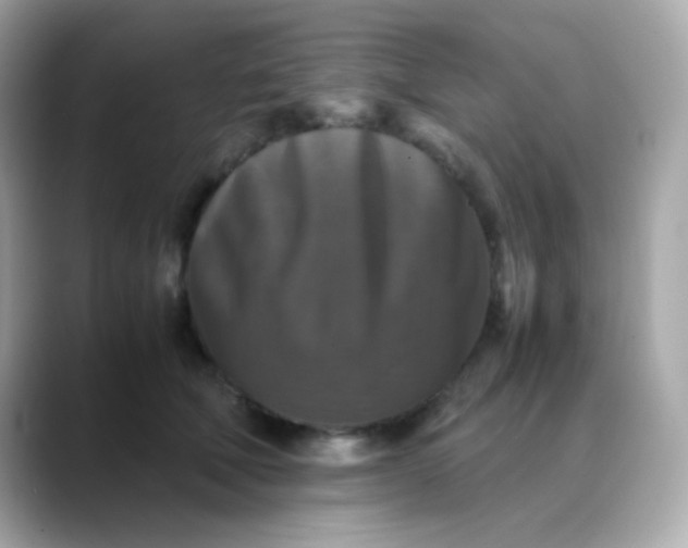 X0000088400610200706051137